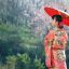 田中美咲，日本语言学背景的内容审校编辑头像